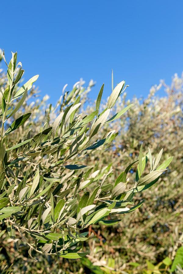 Hera Kyrenia Bb Kazaphani Exterior foto
